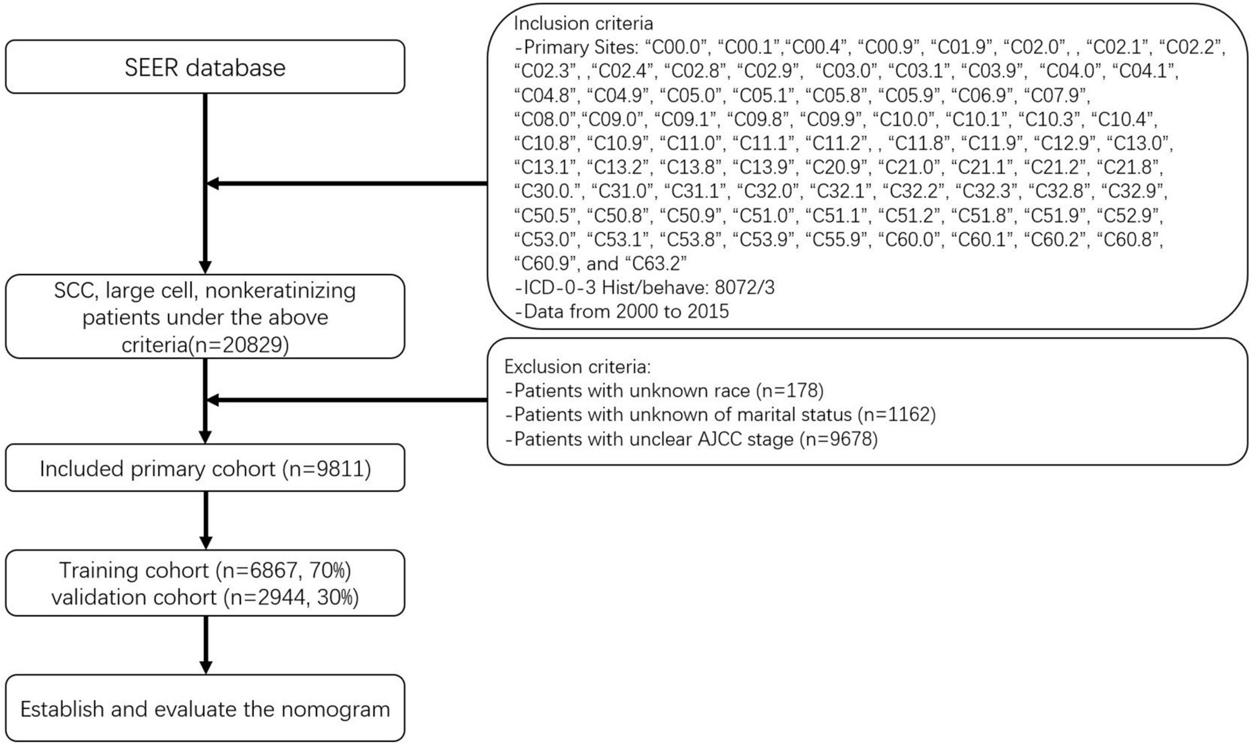 A nomogram for predicting survival in patients with skin non-keratinizing large cell squamous cell carcinoma: A study based on the Surveillance, Epidemiology, and End Results database